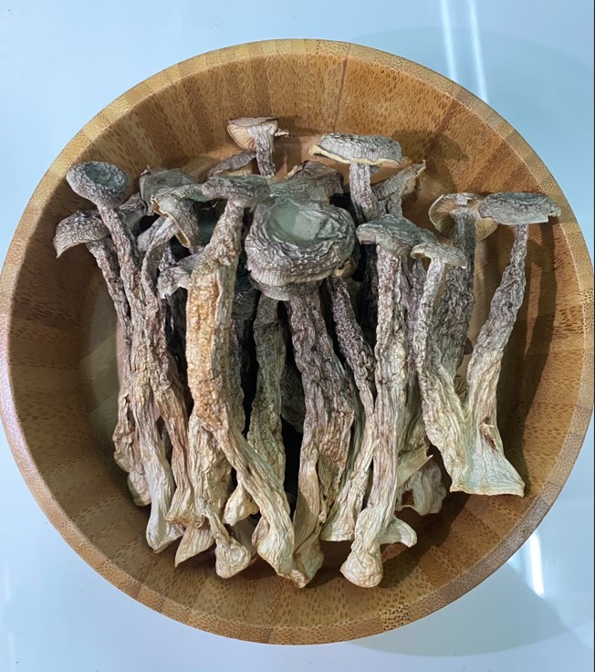 頂級鹿茸菇- 成泰食品行
